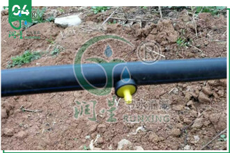 详情7.jpg 详情7.jpg