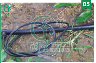 详情8.jpg 详情8.jpg