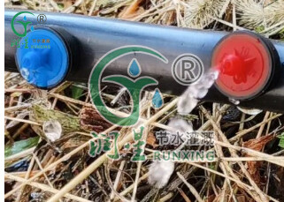 Sur le tube extérieur - compte-gouttes anti-goutte et compensateur de pression