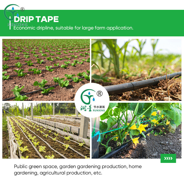 滴灌带详情2.jpg 滴灌带详情2.jpg