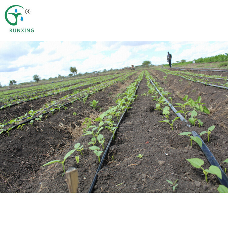 滴灌带详情4.jpg 滴灌带详情4.jpg