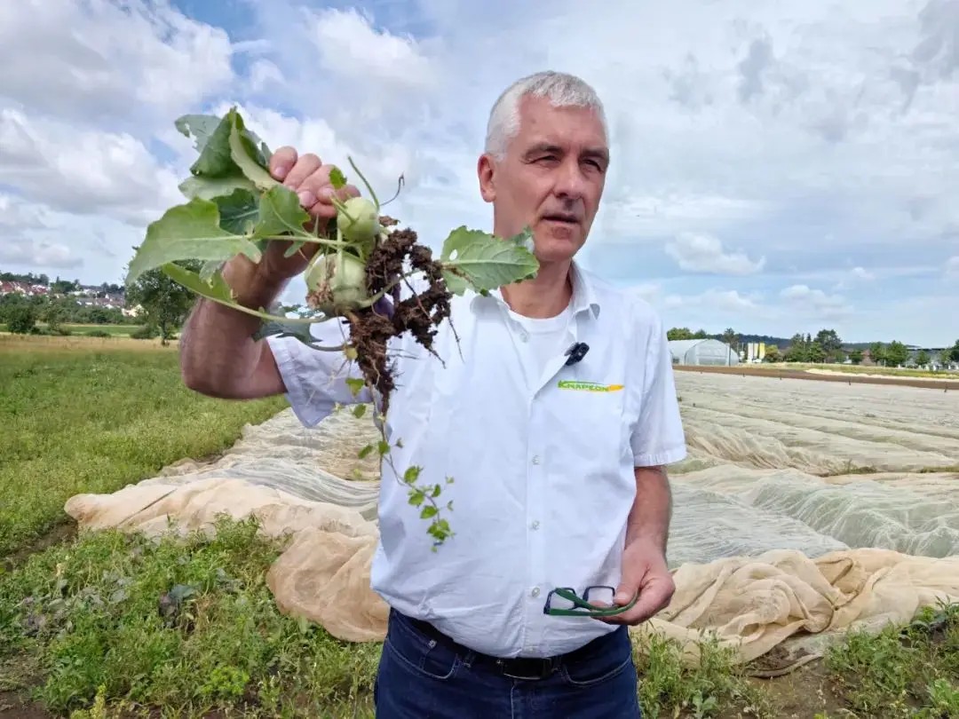 法国新闻2 法国新闻2