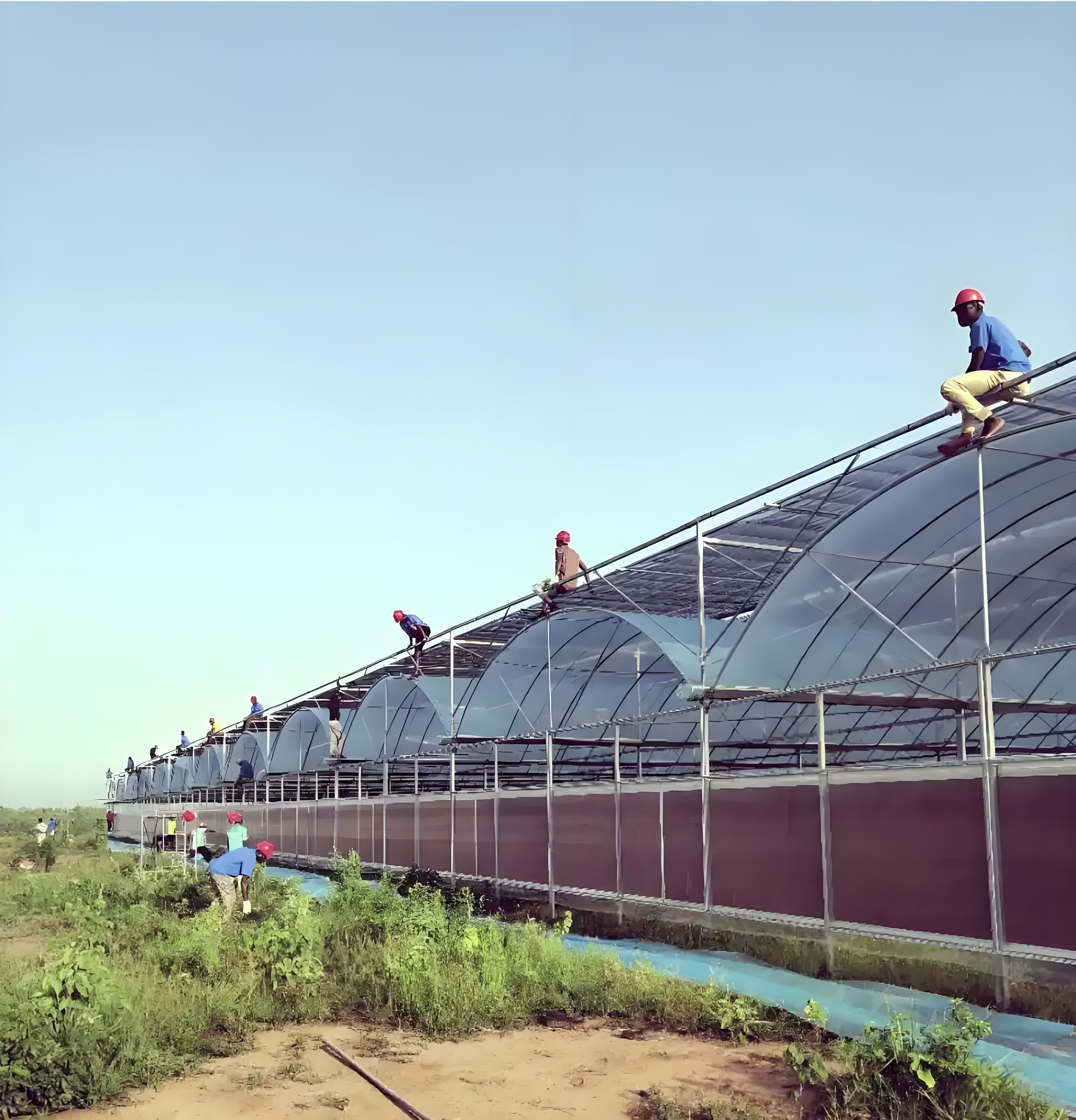 Irrigation au goutte-à-goutte : La solution stratégique du Ghana pour lutter contre la sécheresse et l'escalade des coûts alimentaires