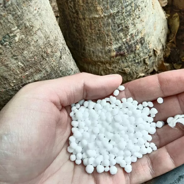 Basic information, execution standards, and fertilization points of urea