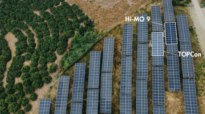 LONGi Releases Global BC Technology Field Data:Performance and Reliability Exceed Expectations