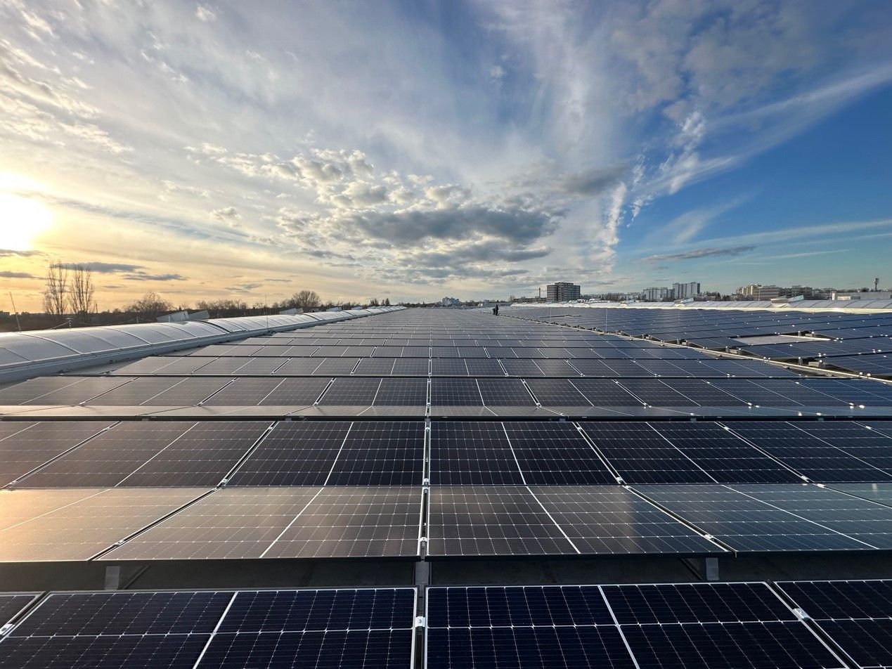 Active PV Module Market: LONGi Secures Nearly 928MW in Projects