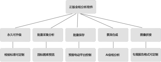 image.png 1770520887878962068022706176.png