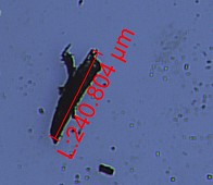 image.png 1773469142891327946598211584.png