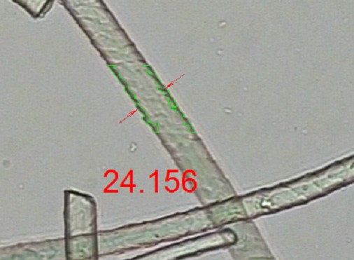 image.png 1773469777891330607959597056.png