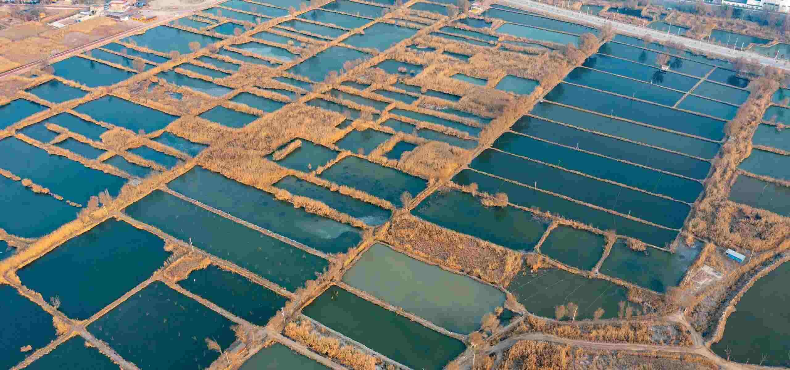 Plan de construcción para la impermeabilización de grandes embalses Plan de construcción para la impermeabilización de grandes embalses