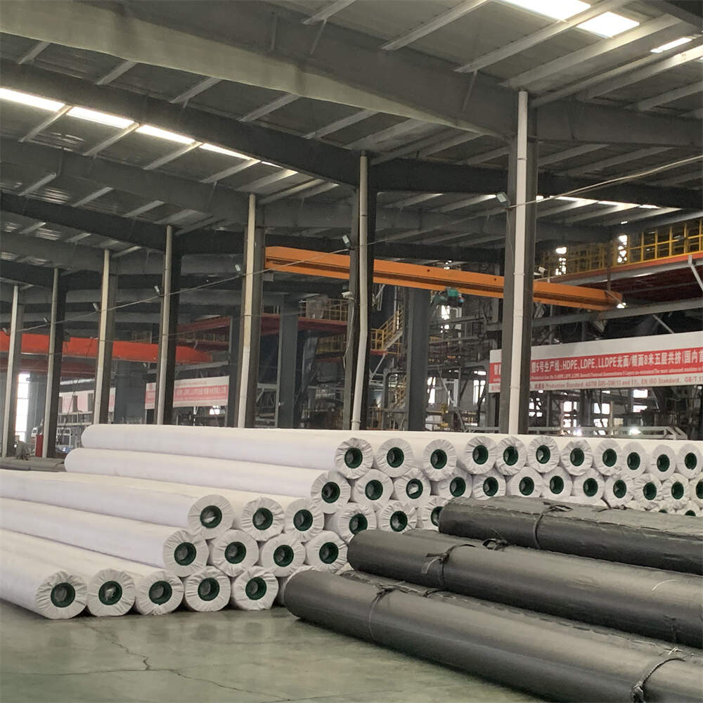 Revestimiento de arcilla geosintética bentonítica perforada con agujas