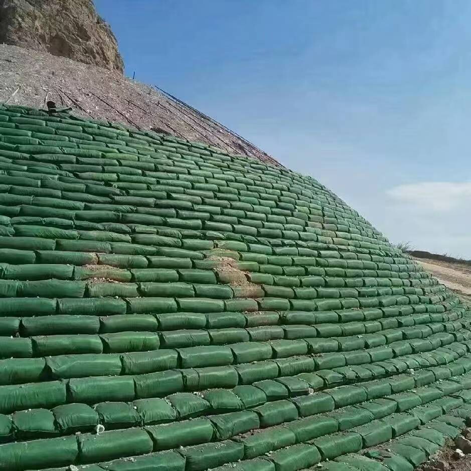 Bolsa ecológica verde