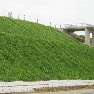Saco Ecológico de Sementes de Grama