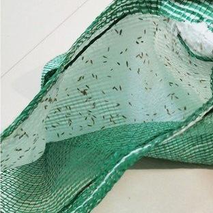 Sac de semences de gazon écologique