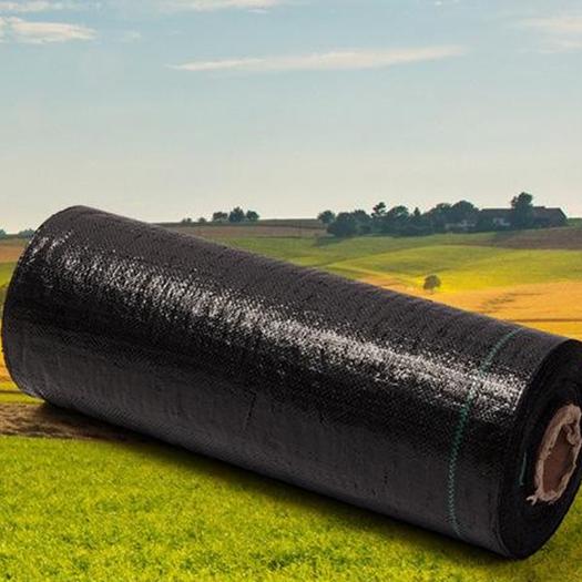Tissu de protection du sol anti-mauvaises herbes