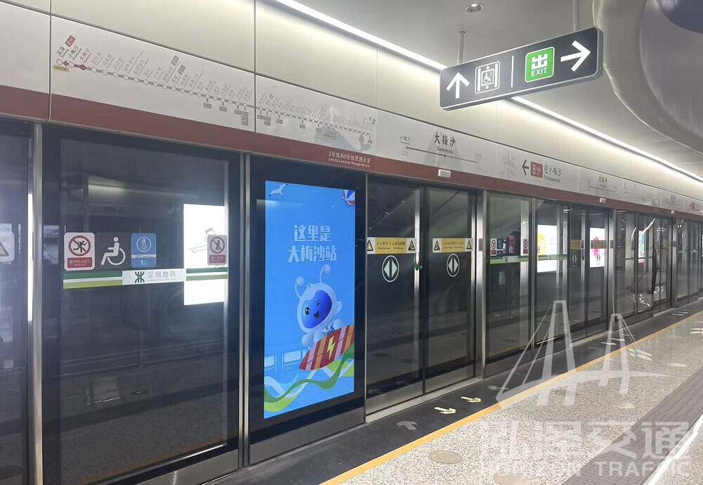 Full height platform screen door