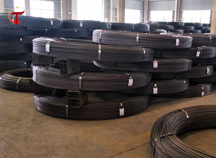 A53 Carbon Steel Wire