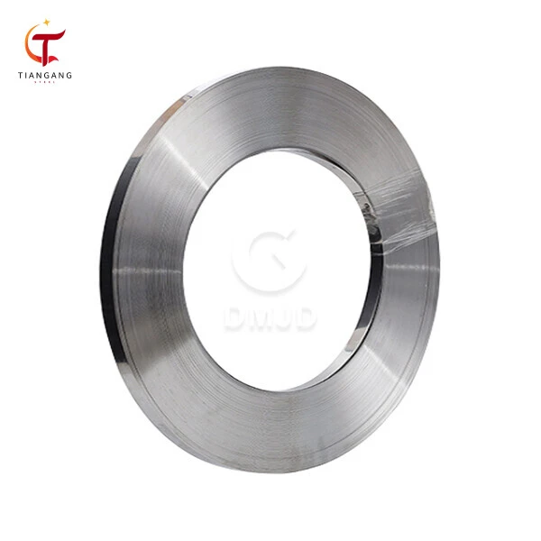 Stainless Strip