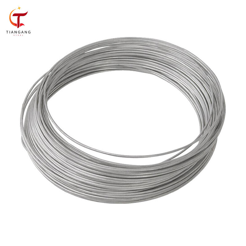 DX53D+Z Galvanized Steel Wire