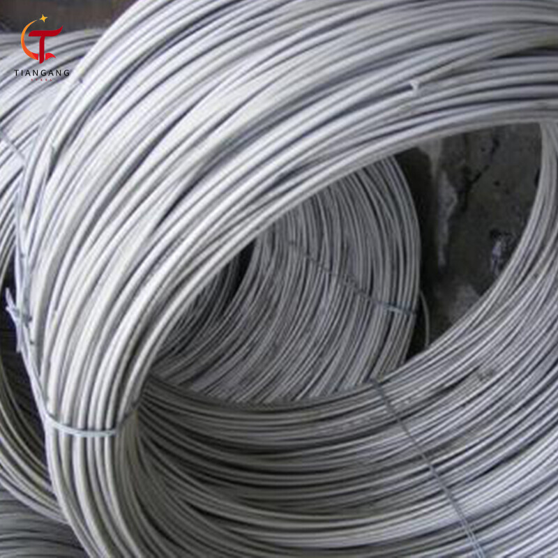 DX52D+Z Galvanized Steel Wire