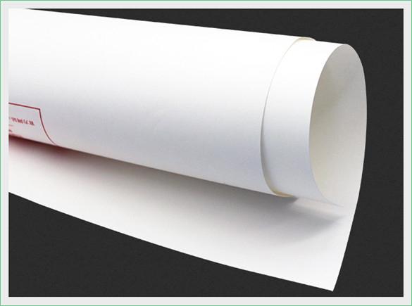 Manufacturers supply 40 grams of food grade single glossy white kraft paper roll base paper wholesal