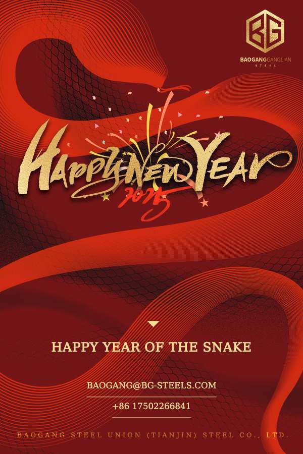 The New Year bell rings, and dreams begin