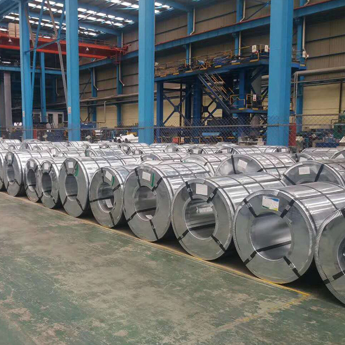Galvanized Steel Coils