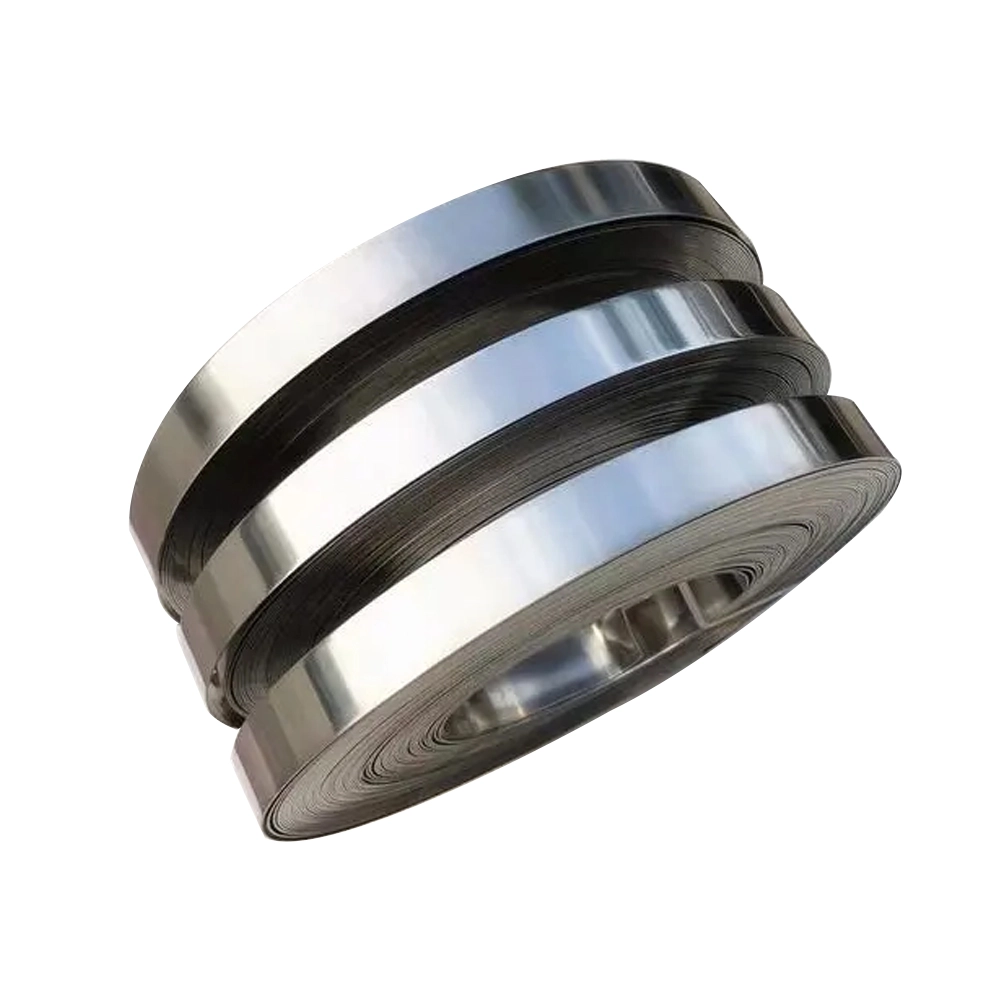 Stainless Steel Strip