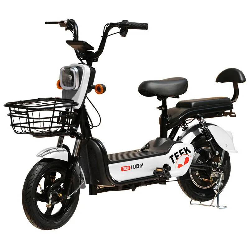 Powerful Electric Bike for Adults 12Ah 20Ah 48V 350W Electric Bicycle with Two Seats