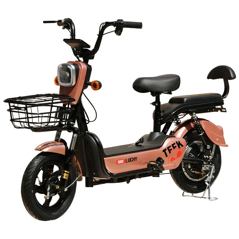 Powerful Electric Bike for Adults 12Ah 20Ah 48V 350W Electric Bicycle with Two Seats