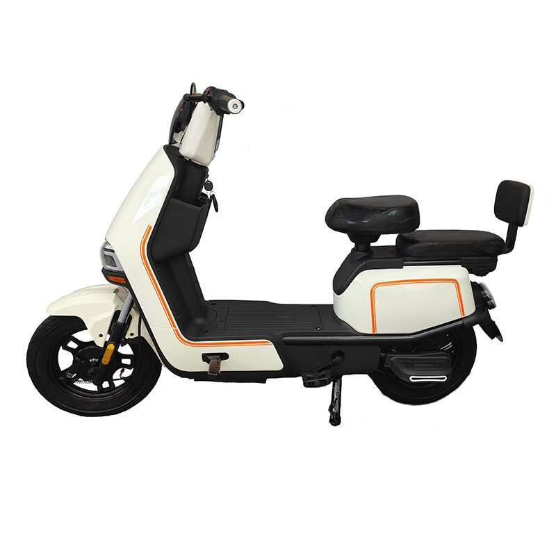 Carbon Fibre Electric Bicycle 500W with Down Tube Battery and Rear Hub Motor for Adults