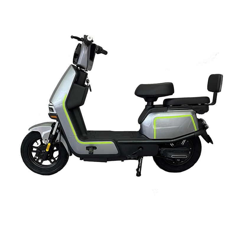 Carbon Fibre Electric Bicycle 500W with Down Tube Battery and Rear Hub Motor for Adults