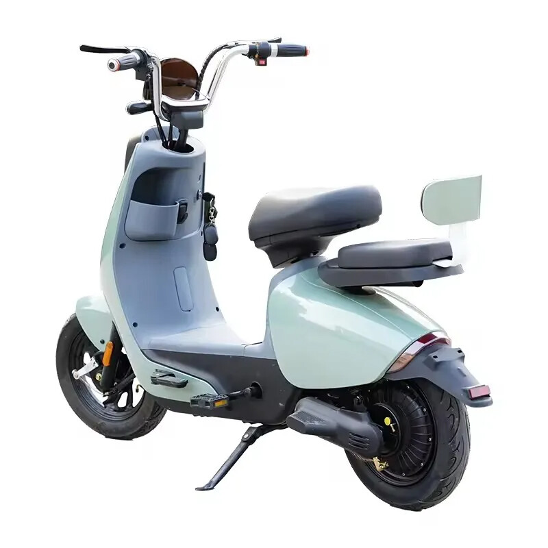 Carbon Fibre Electric City Bike 48V 12A 500W High Power Fast Fatbike with Smart Electronic Sensor System