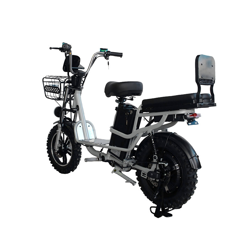 Best Price 48V500W Adult City Leisure Electric Vehicle Fashionable New Electric Bicycle