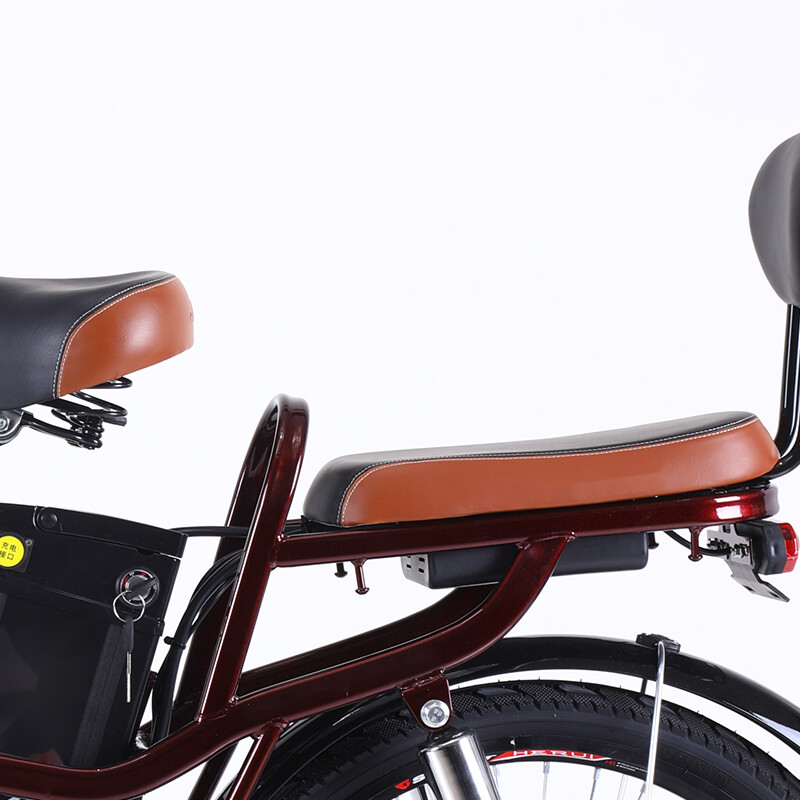 22 Inch Aluminum Frame Delivery Electric Bike Central Asia