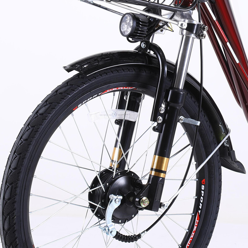 22 Inch Aluminum Frame Delivery Electric Bike Central Asia