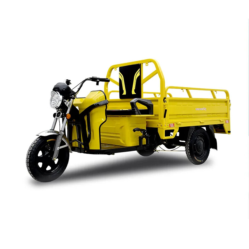 Cheap Price Drum Brake Cargo Electric Trike