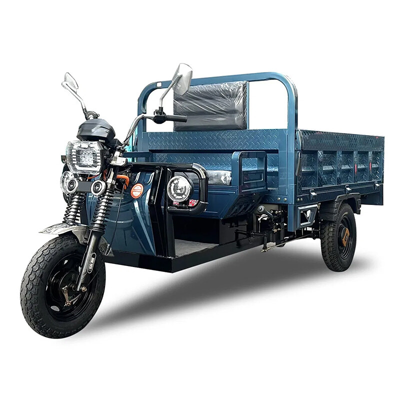 Cheap Price Drum Brake Cargo Electric Trike