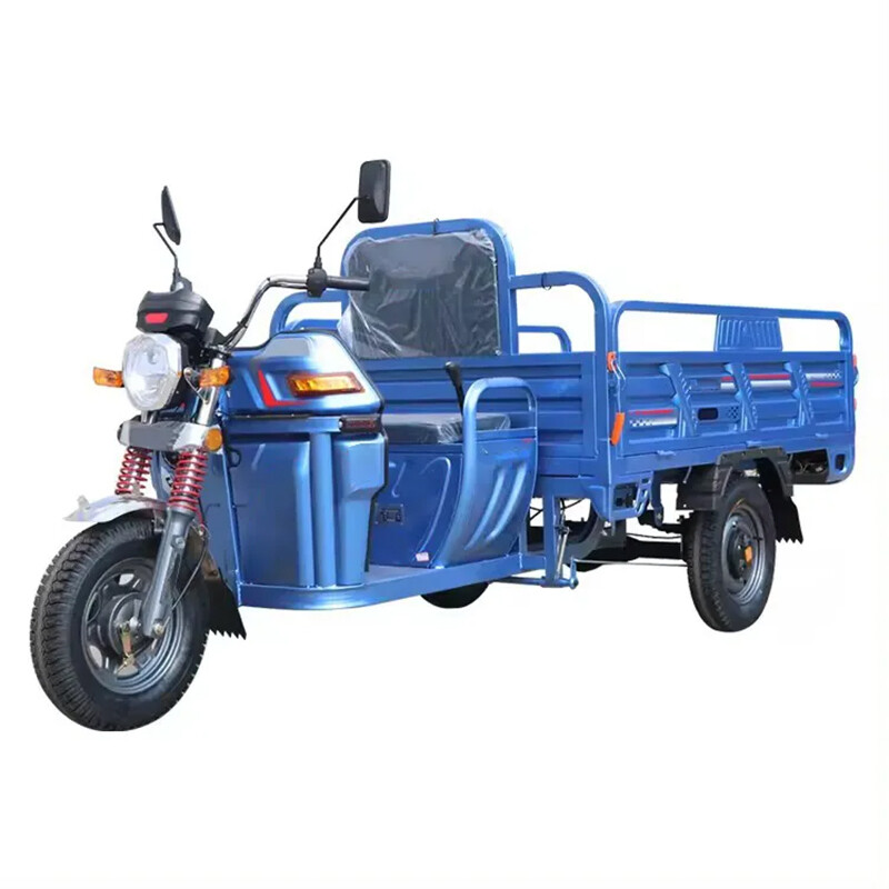 60v45ah/100ah Cargo Electic Trike