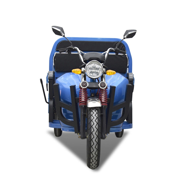 60v45ah/100ah Cargo Electic Trike