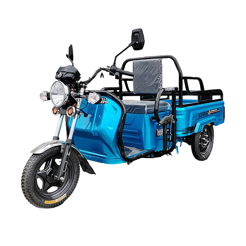 Small Electric Cargo Tricycle