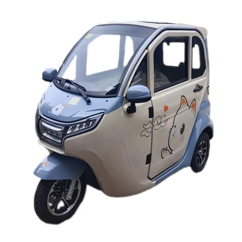 Cost-effective Rain Proof Enclosed Electric Tricycle