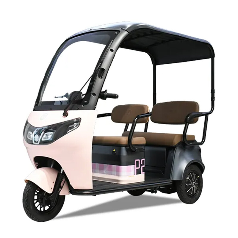 Electric Leisure Tricycle with Roof