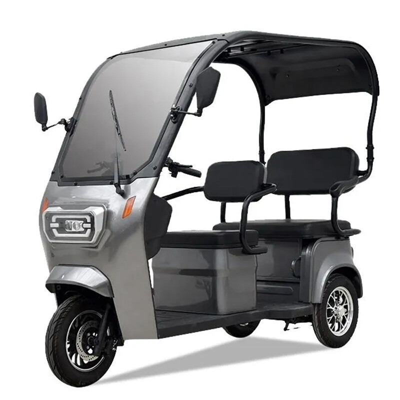 Electric Leisure Tricycle with Roof