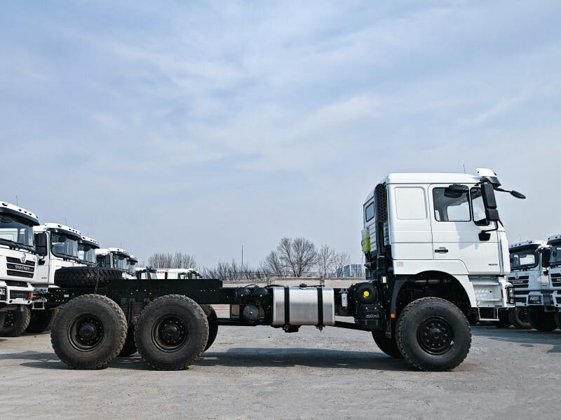 SHACMAN F3000 6×6 châssis de camion cargo