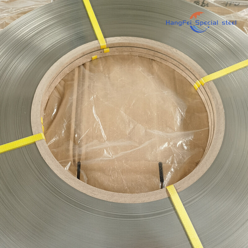 Hastelloy Alloy Strips