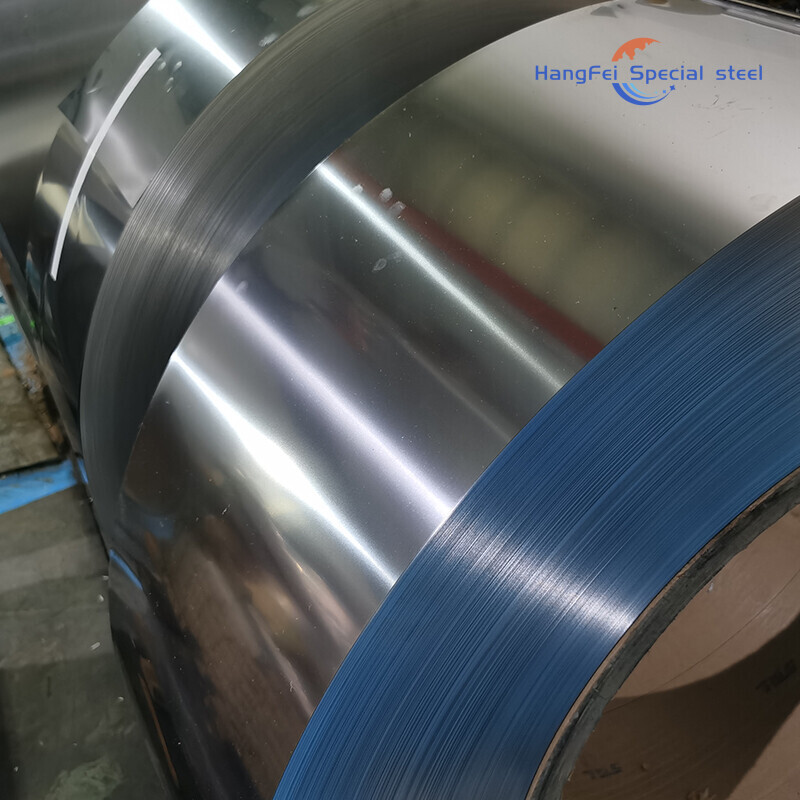 Hastelloy Alloy Strips