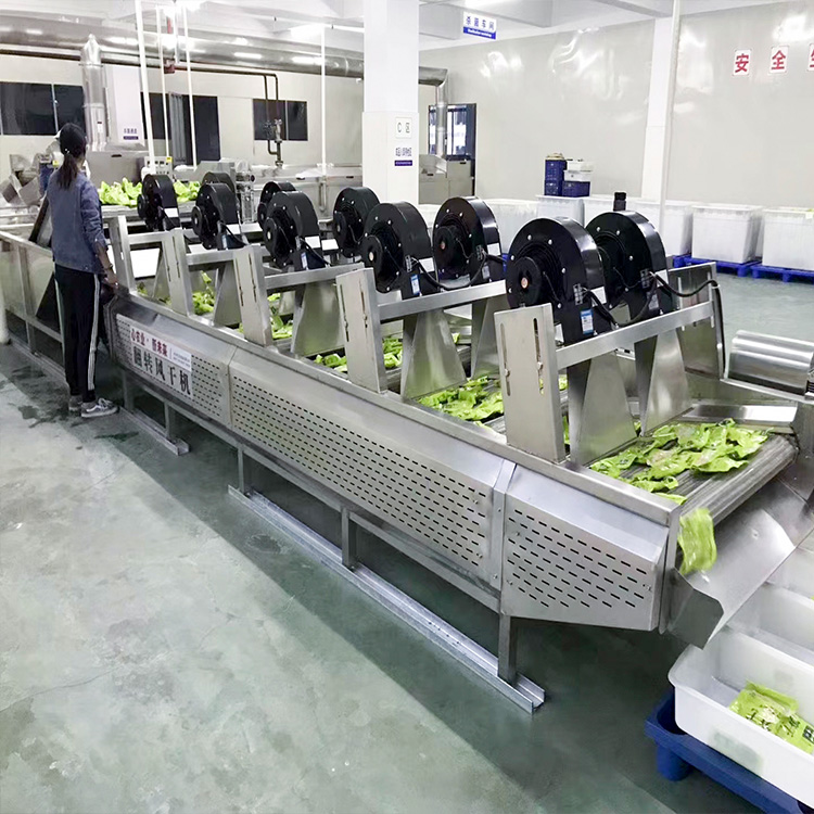 Turning and air - drying of ready - to - eat vegetables