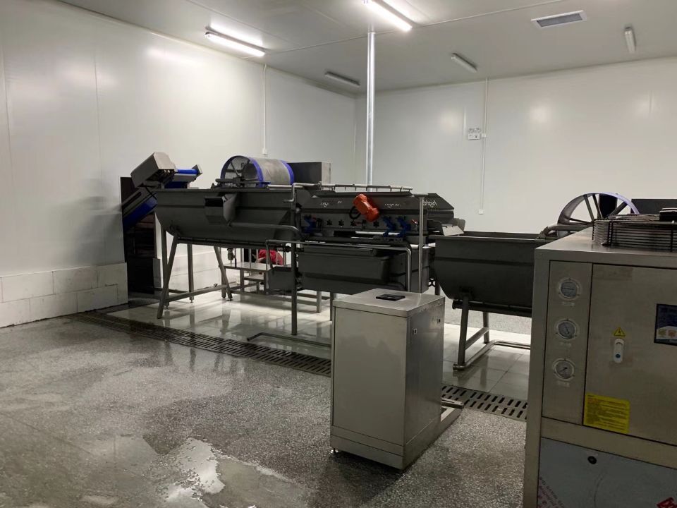 Cleaned vegetable washing