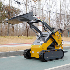 13-300.jpg 13-300.jpg